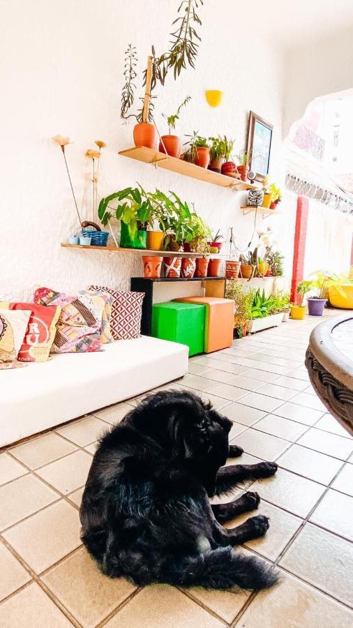 Zili Pernambuco - Hostel Pousada Recife Kültér fotó