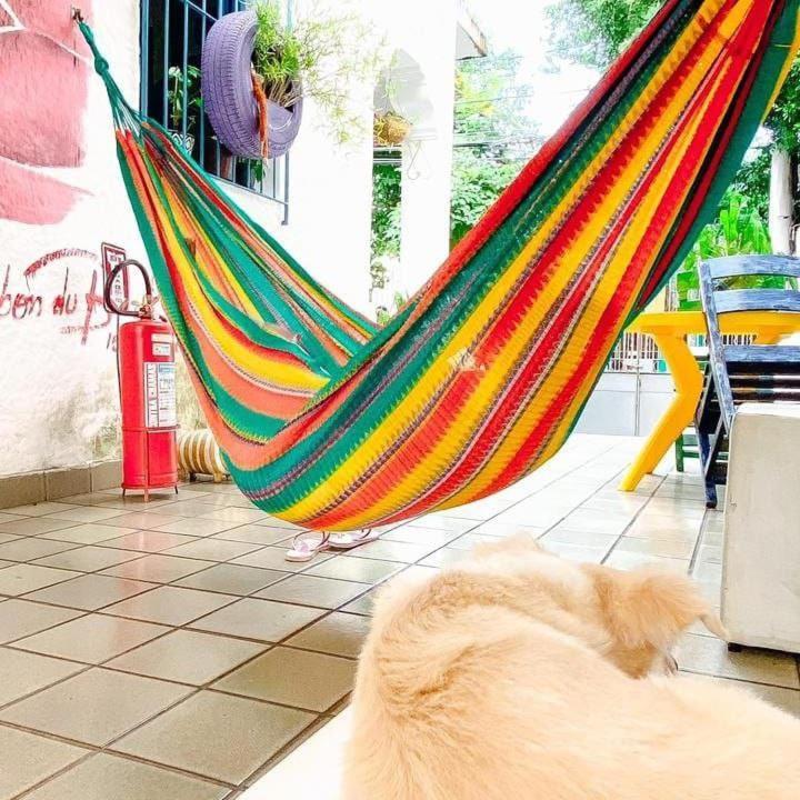 Zili Pernambuco - Hostel Pousada Recife Kültér fotó